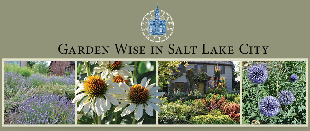 Opening Screen in Salt Lake City